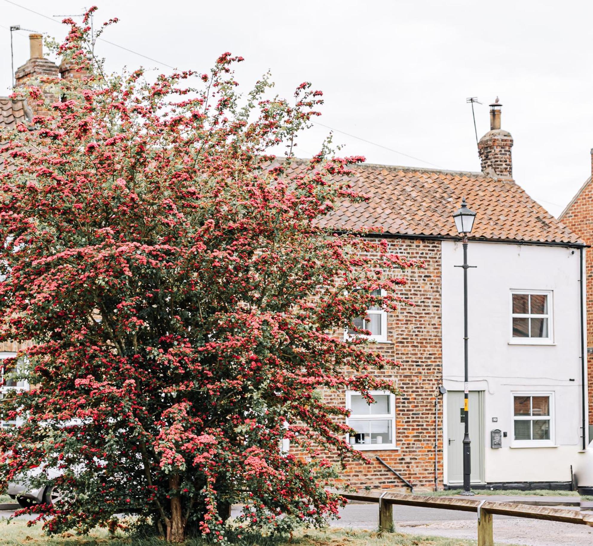 New Thirsk Stays - Herriot'S Hideaway Экстерьер фото